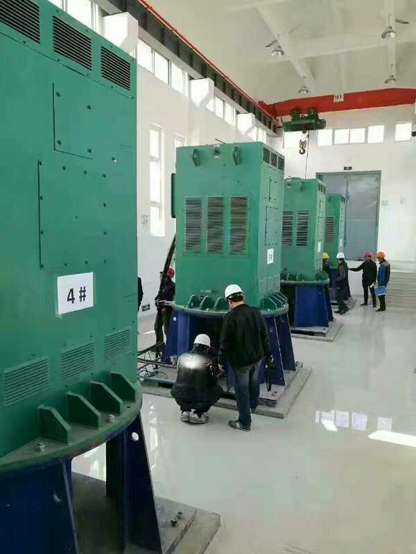 赵西垸林场某污水处理厂使用我厂的立式高压电机安装现场